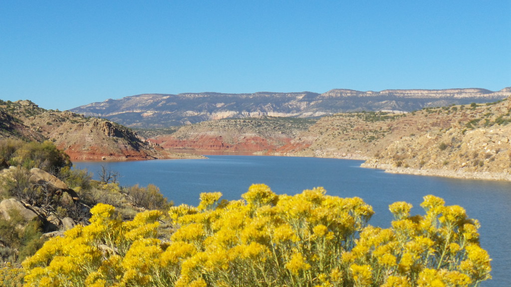 The view from the back of the lake house I rented in New Mexico